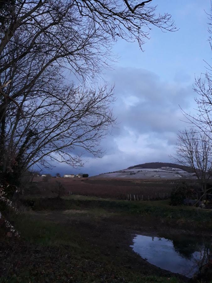 La Maison Des Vignes Charentay Bagian luar foto