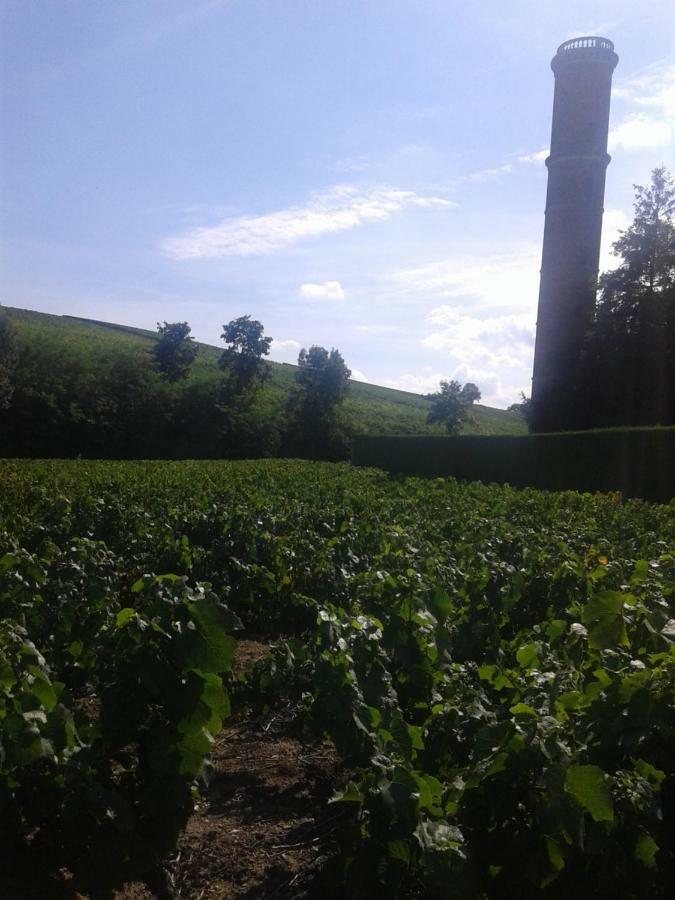 La Maison Des Vignes Charentay Bagian luar foto