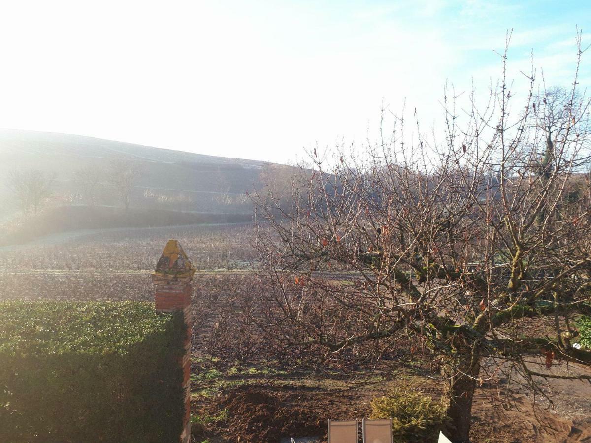 La Maison Des Vignes Charentay Bagian luar foto