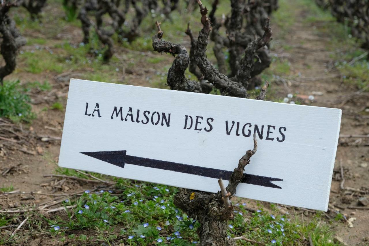 La Maison Des Vignes Charentay Bagian luar foto