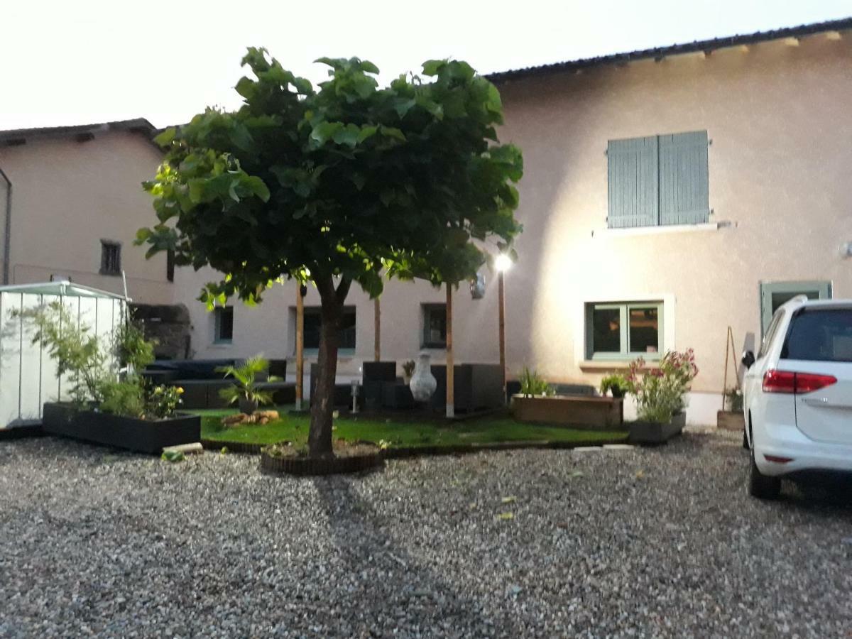 La Maison Des Vignes Charentay Bagian luar foto